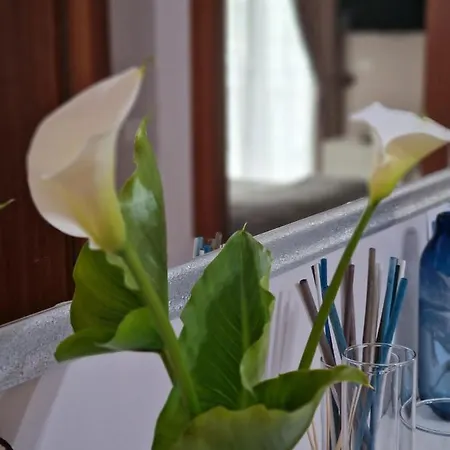 Alojamento de Acomodação e Pequeno-almoço Sweet Scerne