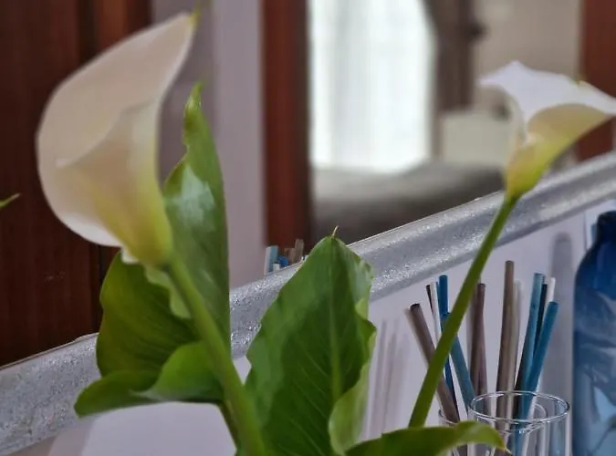 Bed & Breakfast Sweet Scerne